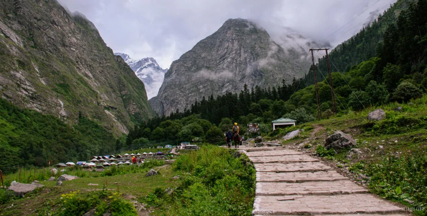 Trekking in Valley Of Flowers