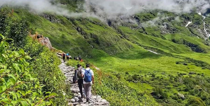 Trekking in Valley Of Flowers