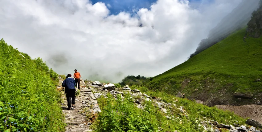 Valley Of Flowers in Monsoon