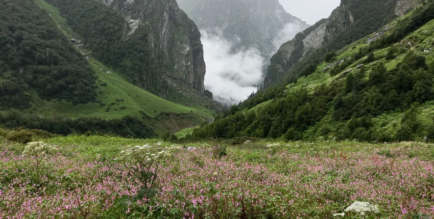 Weather in Valley Of Flowers